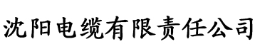 亚洲精品一区二区三区新电缆厂logo